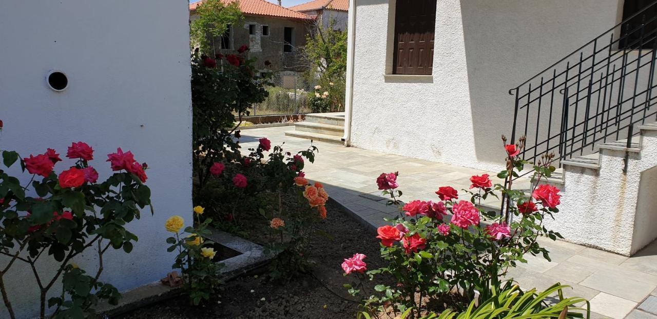 Zmas Studios Khórto Bagian luar foto